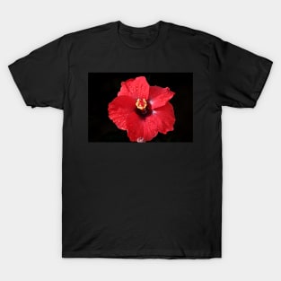 Red Hibiscus on Black T-Shirt